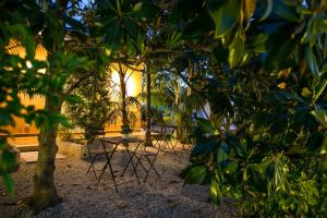 A garden outside Temenos Villa by Ortigiaapartments