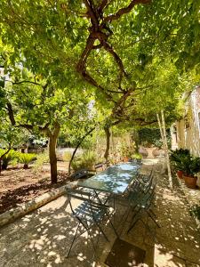 Zahrada ubytování Corte dei Nobili Apartment