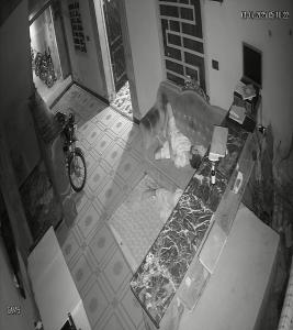 Fotografie z fotogalerie ubytování Al Ghani Hostel For Gents v destinaci Multan