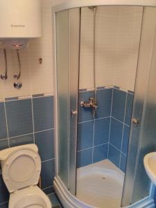 a bathroom with a shower with a toilet and a sink at Villa Persik in Utjeha +45 photos