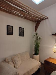Little Elephant Cottage的休息区