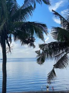 Blick auf das Meer von einem Strand mit Palmen in der Unterkunft Ohana Semeistvo Beach house in Sampong