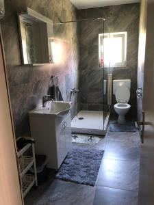 un bagno con lavandino, WC e doccia di Apartman Pavić a Livno Altre 7 foto