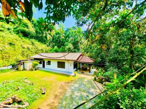 a small house in the middle of a forest at DK Paddy Field Villa in Unawatuna in Unawatuna +10 photos