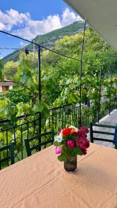 Foto de la galería de Gjoli Lake View 2BR Apt with Stunning Lake Views en Polisi i Vogël