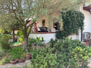 Gallery image of Casa Bonollo in Lido di Jesolo