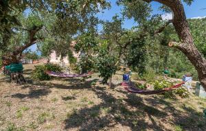 Vườn quanh Awesome Home In Smauro Cilento -Sa-