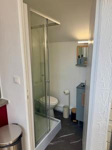 アミアンにあるLe Rooftop Amiénoisのバスルーム(ガラス張りのシャワー、トイレ付)