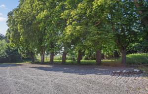 a group of trees and a gravel road at Beautiful Home In Flyinge in Flyinge +12 photos