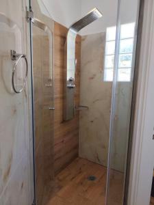 a shower with a glass door in a bathroom at Vassiliki Studios in Andros +37 photos