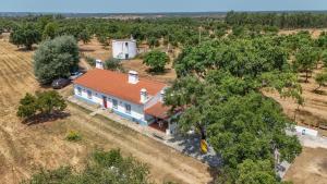 an overhead view of a house with a red roof at Alma Alentejo Villa in Bicos