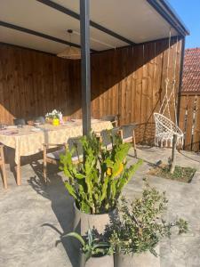 Fotografie z fotogalerie ubytování The Stonehouse v destinaci Ulcinj