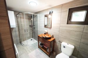 a bathroom with a shower and a toilet and a sink at Domeniul Horj Casa din Stejar Moisei in Moisei +21 photos