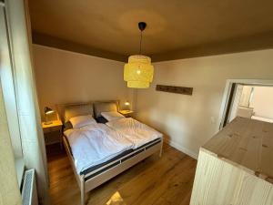 ein Schlafzimmer mit einem Bett und einer Pendelleuchte in der Unterkunft Matilda in Ahrensbök