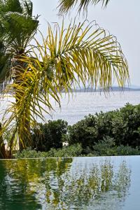 Paesaggio naturale nelle vicinanze dell'hotel