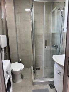 a bathroom with a shower and a toilet and a sink at Apartman Dragovic in Kuršumlija +10 photos