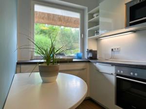 Kuchyň nebo kuchyňský kout v ubytování Endreihenhaus in Keitum mit Badewanne und Grossem Garten