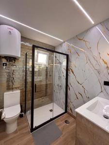 a bathroom with a shower and a toilet and a sink at Cañada Sierra 23 in Talavera de la Reina