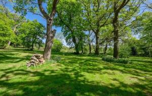 a tree in a field with green grass and trees at 19 Carters Paddock in Isle of Wight