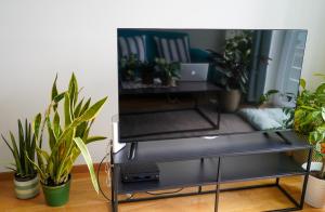 a flat screen tv sitting on a stand with plants at Solrik leilighet på Byåsen in Trondheim