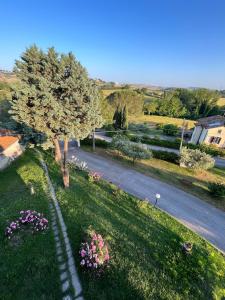 a tree in the grass next to a road at Appartamento Mansarda nel verde in Tavullia