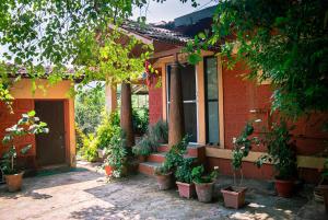 a house with potted plants in front of it at Shantidarshan Homestay in  Amboli 