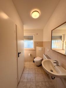 a bathroom with a sink and a toilet and a mirror at Muskat in Hanhofen