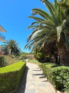 Gallery image of Anastasia's Garden - Green Apartment in Moudhros +7 photos