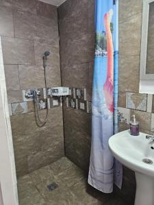 a bathroom with a shower with a pink flamingo shower curtain at casa la meduza in Vama Veche