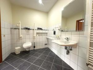 a bathroom with a sink and a toilet and a mirror at Gästehaus Lietzow & Störtebeker Camp in Lietzow