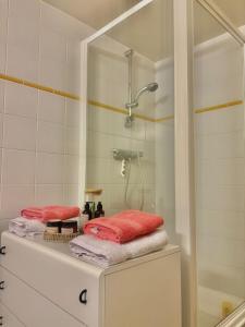 a bathroom with a shower and towels on a counter at Le jardin secret pool and spa in Lasne +15 photos