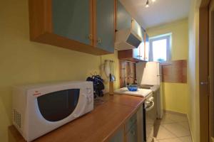 eine Küche mit einer Mikrowelle auf einer Theke in der Unterkunft Apartment Pula 15 in Pula + 5 Fotos