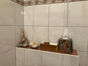 a shelf in a tiled wall with items on it at Wandergesellenzimmer mit Bad und Küche in Ilmenau +8 photos