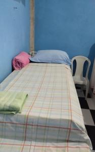 a bed in a room with a blue wall at Estúdio Bambuzal no Centro in Alto Paraíso de Goiás