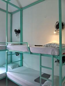 Molly's Hostel客房内的一张或多张床位