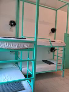Molly's Hostel客房内的一张或多张床位