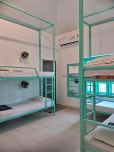 Molly's Hostel客房内的一张或多张床位