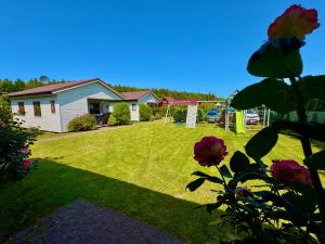 a yard with a house and a house with a flower at Anida Rusinowo in Rusinowo
