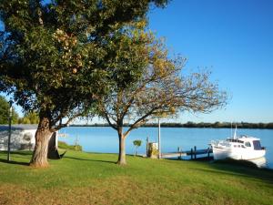 um barco ancorado ao lado de um campo relvado com uma árvore em Washpool Retreat em Wellington East