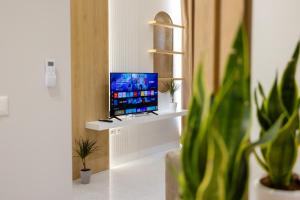 a television sitting on a shelf in a room with plants at Nova Studio Drymades in Dhërmi