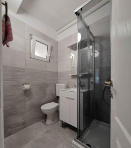 a bathroom with a toilet and a glass shower at Apartment Povljana 1 in Povljana