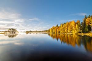 une vue d'un lac avec des arbres en arrière-plan dans l'établissement Gustava Parken - 3 persons cottage, à Hagfors 9 autres photos