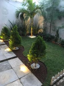 a garden with trees and lights in the grass at Casa Victoria in SamborondÃ³n