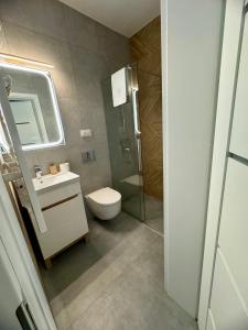 a bathroom with a toilet and a sink and a shower at Błękitne Wierchy in Murzasichle