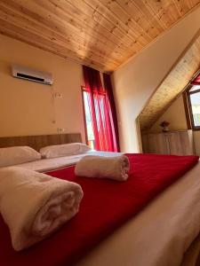 Gambar di galeri bagi Guest House Shtëpiza Theth di Theth