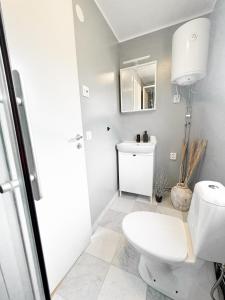 a bathroom with a white toilet and a mirror at Lakefront cabin on Skåne's largest island in Ivö