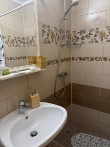 Un baño con lavabo y ducha en Casa Adelmar, en Tulcea 39 fotos más