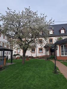 a tree in the yard of a building at Weinhof Michael Morbach in Zeltingen-Rachtig