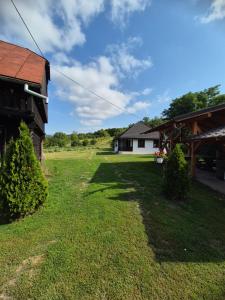 a yard in front of a house with a building at Casa Livada Bunicii in Târgu Ocna