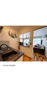 a kitchen with a sink and a counter top at Appartement Salines 46m2 in Carnac